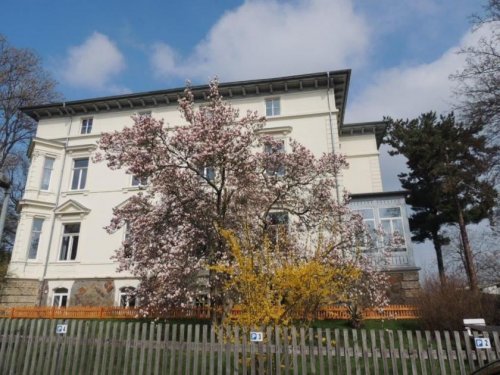 Werdau Gewerbe Topsaniertes und vollvermietetes Renditeobjekt in guter Lage mit Park, Garagen und Stellplätzen! Gewerbe kaufen
