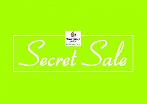 Bad Elster Nähe Bad Elster: Repräsentative Villa mit ca. 14.500 m² Grundstück Haus kaufen