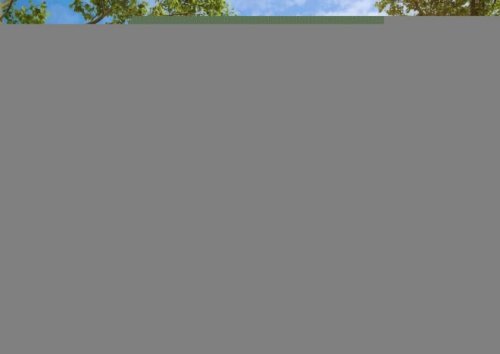 Chemnitz Grundstücke Innerstädtische Baugrundstück - Geschoßwohnungsbeu - Wohnen - mit Altbestand Grundstück kaufen