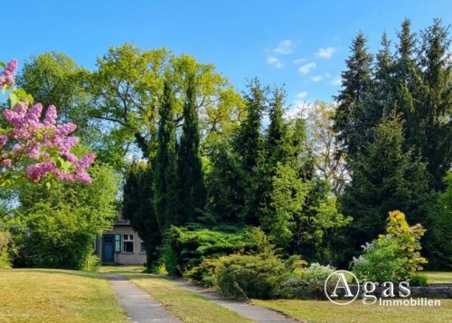 Stahnsdorf Haus Exklusive Toplage: ca. 1.220m² großes Grundstück mit Bungalow, Garage & Werkstatt–provisionsfrei! Haus kaufen