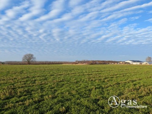 Werder (Havel) Landwirtschaftliche Nutzfläche in Plötzin Grundstück kaufen
