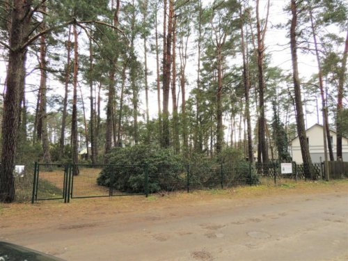 Michendorf Immobilien Raus aus der Stadt, rein ins Glück - Michendorf - Bergheide wartet Grundstück kaufen