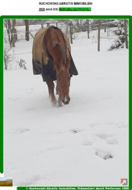 Bad Belzig Immobilie kostenlos inserieren *** Bauernhaus und ca. 3 Hektar Land in Randlage *** Haus kaufen