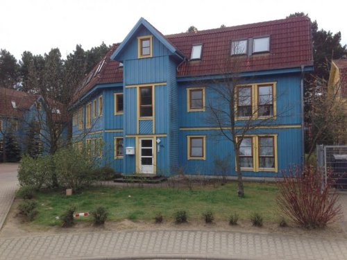 Borkwalde 2-Zimmer Wohnung 31.01. Besichtigung -Terrasse in Schwedenhaussiedlung sucht neuen Investor Wohnung kaufen