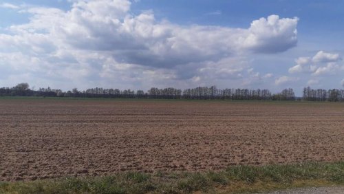 Brück Grundstücke 63,9 ha Acker- und Waldflächen in Trebitz und Brück Grundstück kaufen
