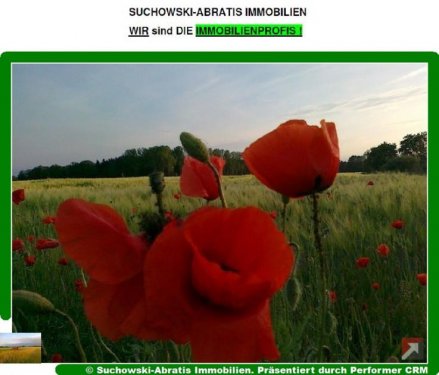 Ludwigsfelde Grundstück *** Landwirtschaftsflächen 4,0647 ha - pachtfrei *** Grundstück kaufen