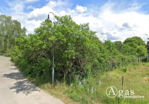 Groß Lindow Inserate an Grundstücken Bauträgerfreies ca. 1.000m² großes, gut geschnittenes Grundstück in Groß-Lindow Grundstück kaufen