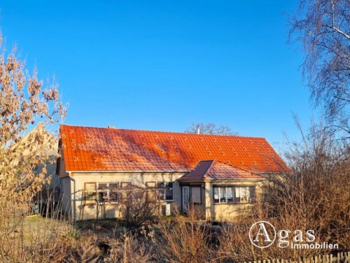 Küstriner Vorland Haus Modernisiertes Landhaus mit Scheune und Nebengebäuden auf fast 2 Hektar großem Grundstück Haus kaufen