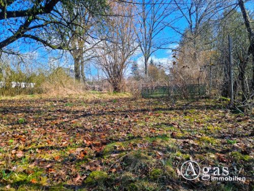 Petershagen (Landkreis Märkisch-Oderland) Immobilien Bauträgerfreies Grundstück in begehrter Wohnlage in Petershagen Grundstück kaufen