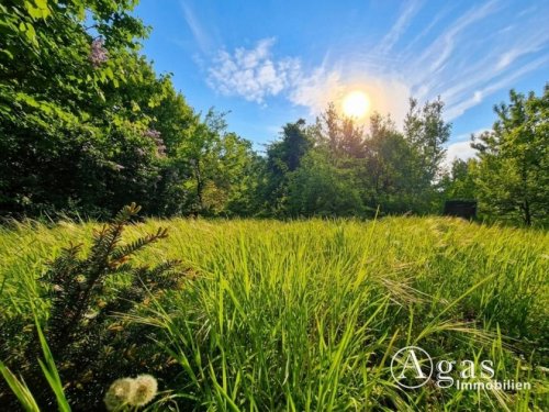 Petershagen (Landkreis Märkisch-Oderland) Grundstücke Exklusives Baugrundstück ohne Bauträgerbindung in neuer attraktiver Wohnsiedlung Petershagen Grundstück kaufen