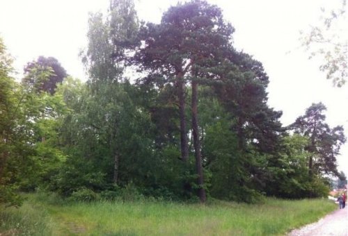 Reichenwalde Inserate an Grundstücken 8256 m² Baugrund in Seenähe für sofortige Bebauung Grundstück kaufen