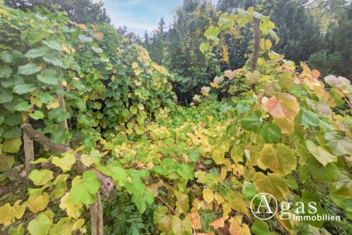 Erkner Inserate an Grundstücken Baugrundstück mit kleinem Bungalow und diversen Nebengebäuden in Finkenstein/Grünheide Grundstück kaufen