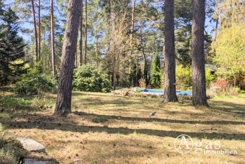 Mittenwalde (Landkreis Dahme-Spreewald) Immobilien Bauträgerfreies Eckgrundstück in Töpchin - für Ihren Traum vom Eigenheim! Grundstück kaufen