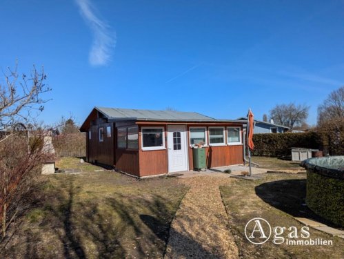 Oranienburg Immobilien Charmanter Pachtgarten mit Bungalow und Pool in Oranienburg (kein Verein) Haus kaufen