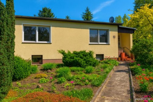 Zühlsdorf Immobilien Bungalow, unterkellert, in Zühlsdorf bei Oranienburg Haus kaufen