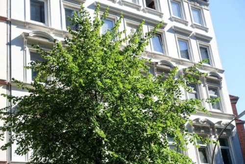 Hamburg Suche Immobilie Wohnung mit 3,5 Zimmern in Harvestehude Wohnung kaufen