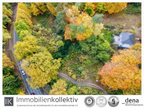 Rosengarten Grundstück Großes Grundstück in Traumlage am Wald! Grundstück kaufen