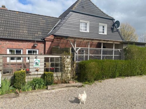 Husum Inserate von Häusern IIM: Verkauf Wohnhaus mit Ferienwohnungen und leistungsstarker Gastronomie in der Region Nordfriesland, direkt hinter dem Deich