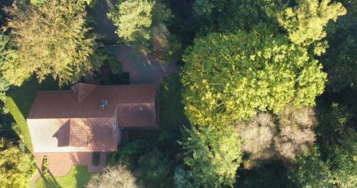 Hesel Immo Einfamilienhaus mit gehobener Ausstattung und kleinem Wald in Hesel Haus kaufen