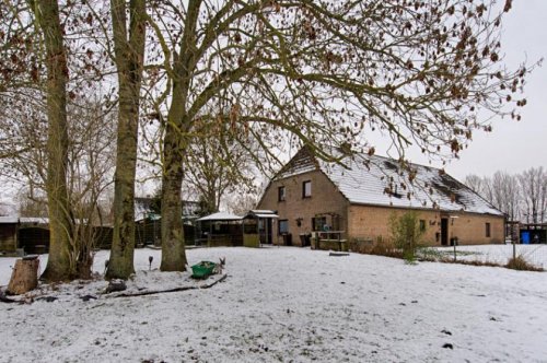 Berne Häuser BERNE - Ebenerdiges, freistehendes Einfamilienhaus auf 2.821 m2 (inkl. zusätzlichem Bauplatz) Haus kaufen