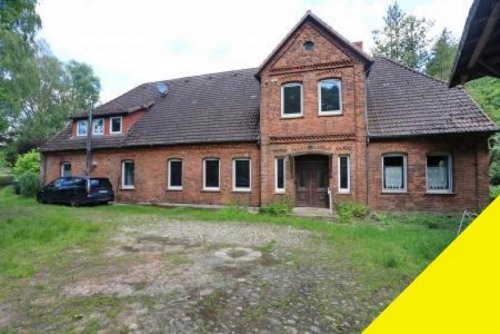 Uelzen Immobilien Wassermühle anno 1338 mit Wohnhaus und ca. 3.5 ha, Grund Wald, Wiese, Bachlauf, Fischteiche Haus kaufen