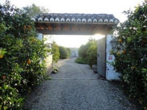 Pizarra Mietwohnungen Finca in Pizarra in einwandfreiem Zustand Haus kaufen