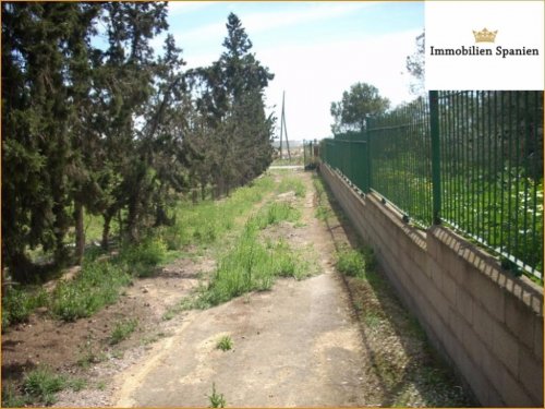 Los Martinez del Puerto Immobilien 3000m2 grosse Finca+2 WOHNHÄUSERN Haus kaufen