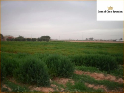 Cartagena Immobilien 40.000m2 grosse Finca mit rustikalen Landhaus Haus kaufen