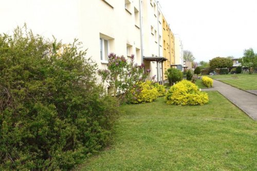 Stolzenau Suche Immobilie 4 Zimmer Wohnung mit Balkon als Kapitalanlage Wohnung kaufen