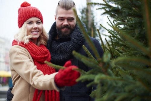Nörten-Hardenberg Häuser DAS FEST IM EIGENEN ZUHAUSE. Haus kaufen