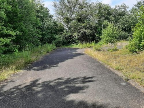 Eschwege Grundstück Wohngrundstück in zentraler Innenstadtlage Grundstück kaufen