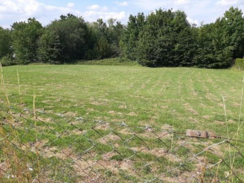 Eschwege Grundstück Wohngrundstück in zentraler Innenstadtlage Grundstück kaufen