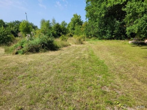 Walkenried Immobilien Ebenerdiges Grundstück, ideal geeignet als Lagerplatz für Holz - Mietkauf möglich - Grundstück kaufen