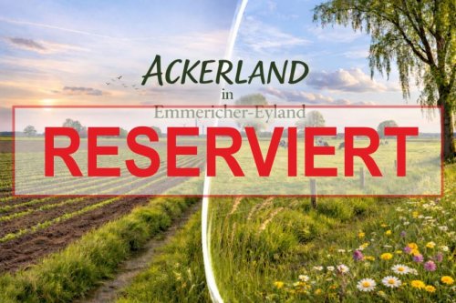 Kalkar Grundstück Gut erreichbares Ackerland in Emmericher-Eyland! Grundstück kaufen