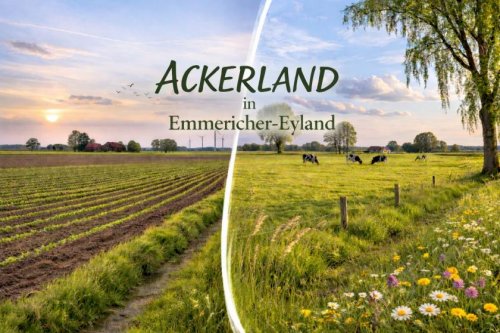 Kalkar Grundstücke Gut erreichbares Ackerland in Emmericher-Eyland! Grundstück kaufen