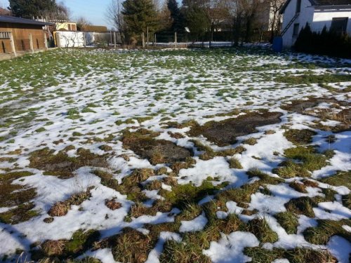 St. Peter am Hart Immobilien Baugrund in St. Peter am Hart Grundstück kaufen