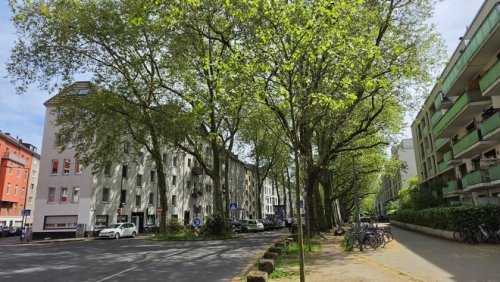 Köln Wohnungen Ruhig zwischen Uni, Barbarossaplatz und Volksgarten - leerstehend mit STELLPLATZ (A384ms) Wohnung kaufen