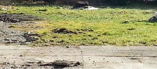 Mattighofen Immobilien Ruhiger Baugrund in Mattighofen Grundstück kaufen