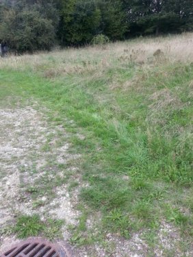 Mauerkirchen Immobilien Baugrund zwischen Treubach und Mauerkirchen Grundstück kaufen