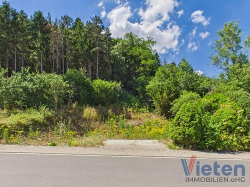 Mechernich Immobilien Bauland mit eigenem Wald – ein Grundstück mit besonderem Charakter Grundstück kaufen