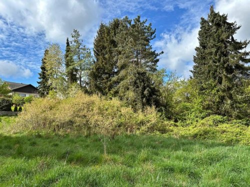 Schleiden Grundstück Tolles Grundstück in ruhiger Lage am Rande des Nationalparks Eifel Grundstück kaufen