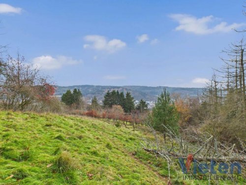 Schleiden Grundstück Traumhafter Talblick - großes Hanggrundstück mit Abrissobjekt, Wiesen- und Waldfläche in Scheuren Grundstück kaufen