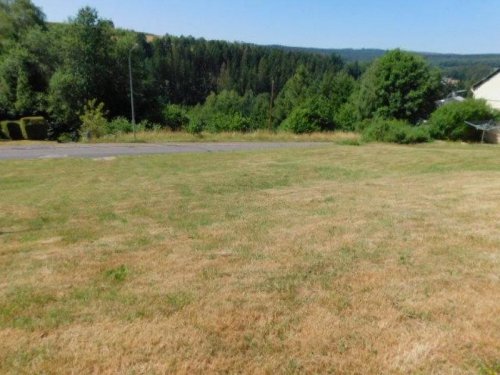 Neuhütten Grundstücke wohnen im Naturpark Hunsrück-Hochwald - erschlossenes 806qm großes Baugrundstück in unverbaubarer Lage Grundstück kaufen