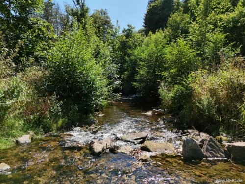 Gerolstein Immobilien Campingplatz, Zimmervermietung und Gastronomie - gepflegte Familienexistenz in der Eifel Gewerbe kaufen