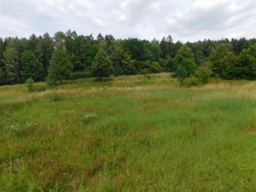 Rittermühle Immobilien Rittersdorf-Südeifel,nähe Bitburg- vollerschlossenes Baugrundstück Grundstück kaufen