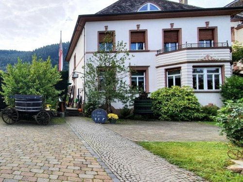 Traben-Trarbach Immobilien Mosel / Jugendstil-Villa mit Garten und großem Keller -hochwasserfrei- Haus kaufen