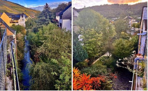 Briedeler Heck Immobilien Inserate Frühjahres-Angebot: Wohnhaus mit 3 Wohnungen (Ferienwohnungen) an der Mosel Haus kaufen