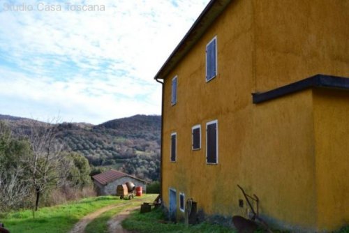 Montorgiali Immobilien Landhaus im Weinanbaugebiet Morellino DOC Haus kaufen