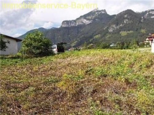 Maurach Immobilien SONNIGER BAUGRUND AM ACHENSEE Grundstück kaufen