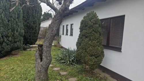 Michelstadt Immobilien ObjNr:19786 - 2 verbundene Einfamilienhäuser in ruhiger Wohngegend in Michelstadt Haus kaufen